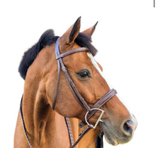 Load image into Gallery viewer, Heritage wide cavesson hunter bridle
